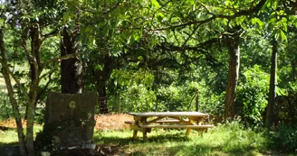 Aire de Pique Nique - Musée Daudet