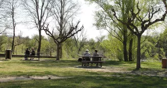 Aire de pique-nique - Plage