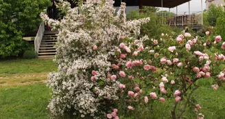 Roseraie des Pommiers