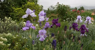 Roseraie des Pommiers