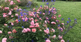 Roseraie des Pommiers