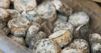 Marché de Quintenas