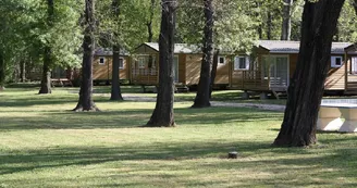 roulotte au camping du Lion