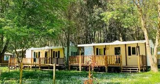 roulotte au camping du Lion