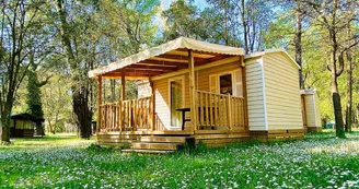 roulotte au camping du Lion