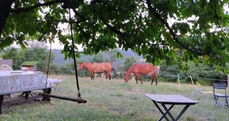 Les Soleillas - Tente saharienne (1-5 pers.)