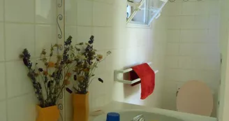 Les Soleillas - Caravane rétro (1-4 pers.)