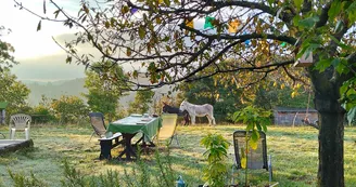 Les Soleillas - Caravane rétro (1-4 pers.)