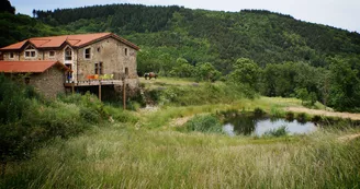 L'Asile - Domaine Le Trouillet