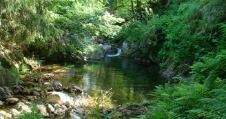 Maison Forestière Retrouvance de l'Hubac des Plaines
