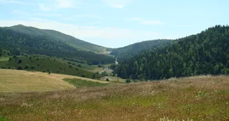 Maison Forestière Retrouvance de l'Hubac des Plaines