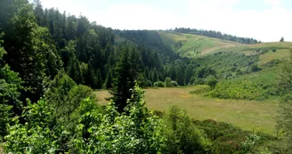 Maison Forestière Retrouvance de l'Hubac des Plaines