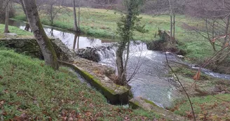 Aire de pique-nique - "La Passa"