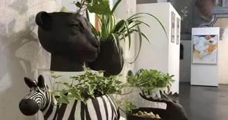 Thanh Violet - céramiste