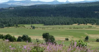 Gîte d'étape " La Louisette "