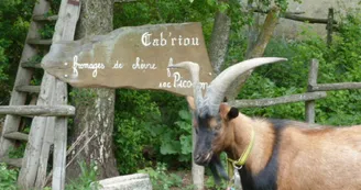 Gîte d'étape " La Louisette "