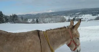 Gîte d'étape " La Louisette "