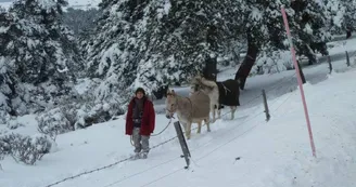 Gîte d'étape " La Louisette "