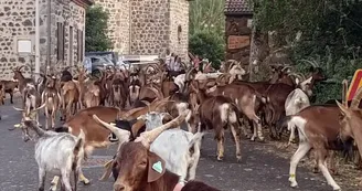 Gîte d'étape " La Louisette "