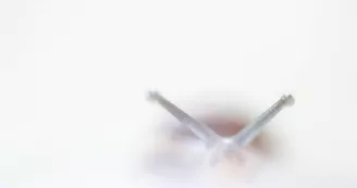 Aurélien Lambert : photo et vidéo