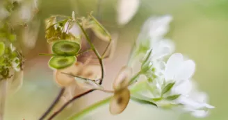 Aurélien Lambert : photo et vidéo