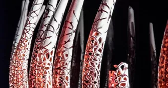 Aurélien Lambert : photo et vidéo