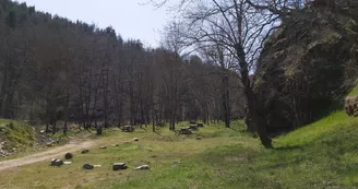 Aire de pique-nique du Calabert