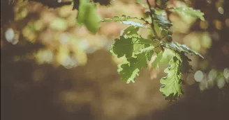 Yann Coeuru Photographie