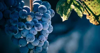 Yann Coeuru Photographie