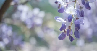 Yann Coeuru Photographie