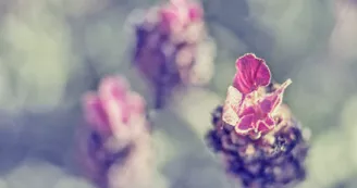 Yann Coeuru Photographie