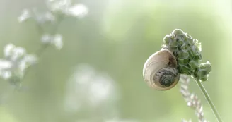 Yann Coeuru Photographie