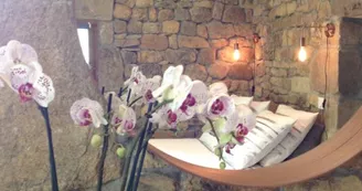 Les Cerisiers - Chambre d'hôtes