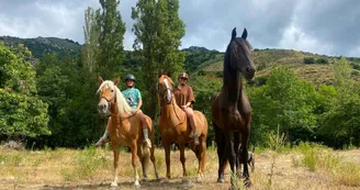 Cabane la Châtaigne
