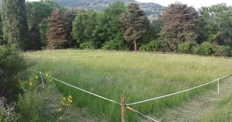 Étape cavalière du Balayn