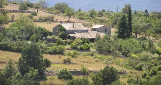 Les confitures de Suzi