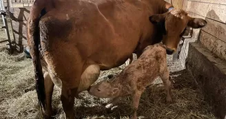 La ferme des sablières