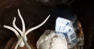 Le terrier de la hase, céramique