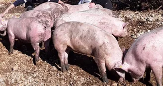 Gaec de la Ferme des 2 Sources