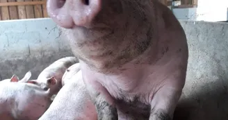 Gaec de la Ferme des 2 Sources