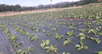 Gaec de la Ferme des 2 Sources