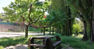 Aire de pique-nique - Place Poulallé