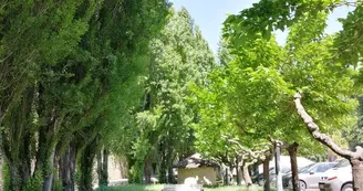 Aire de pique-nique - Place Poulallé