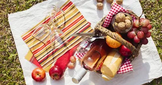 Aire de pique-nique - Parc Pradelle