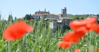Spot de pique-nique - Château vieux