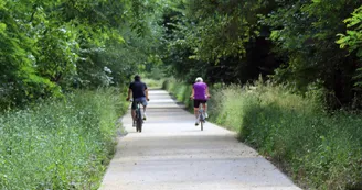 Central Location - Location de vélos et VTT classiques