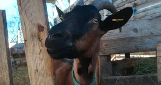 La Ferme du Haut Russargues