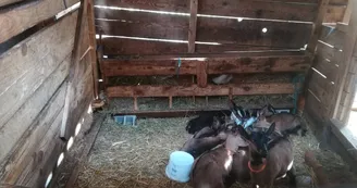 La Ferme du Haut Russargues