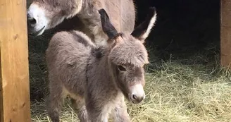 Les Roulottes et Cabanes de Saint Cerice