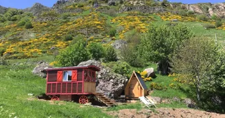Roulotte en bois dans un écrin de nature